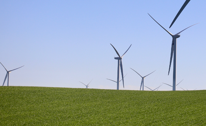 Windmills scattered across field